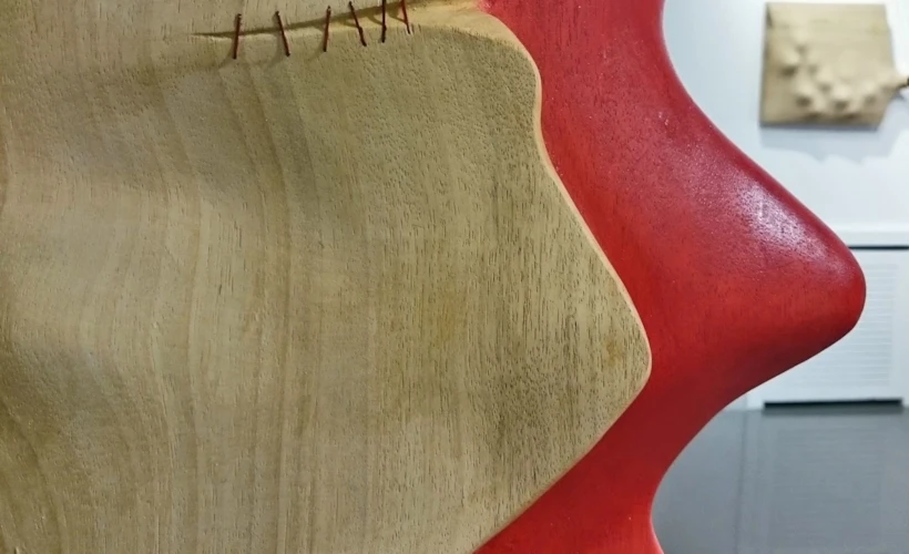 Evren Erol'dan "Kırmızı Çizgi" Bozlu Art Project'te