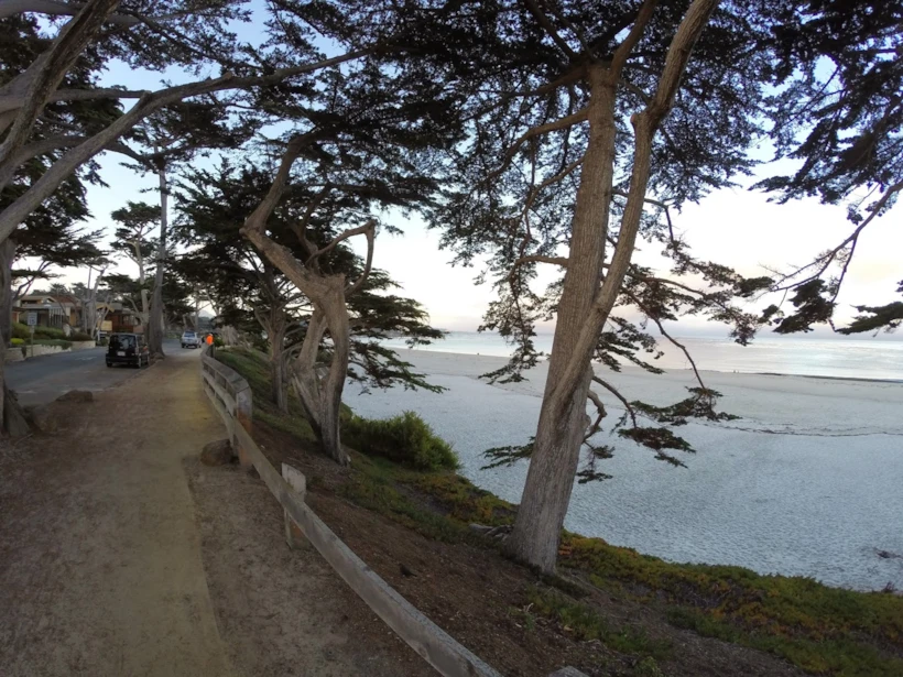 carmel 6