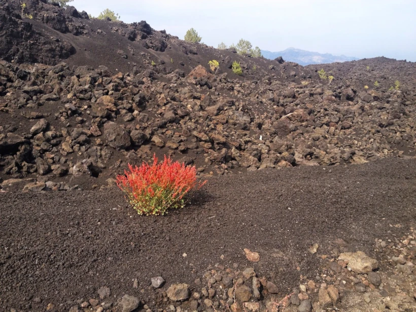 etna (1)