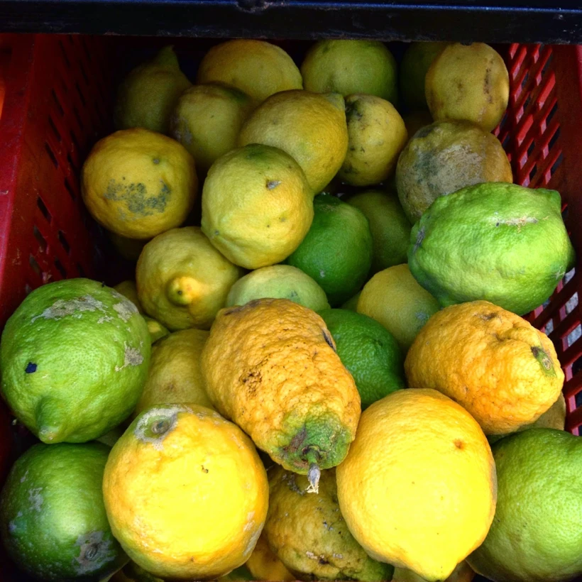 limon
