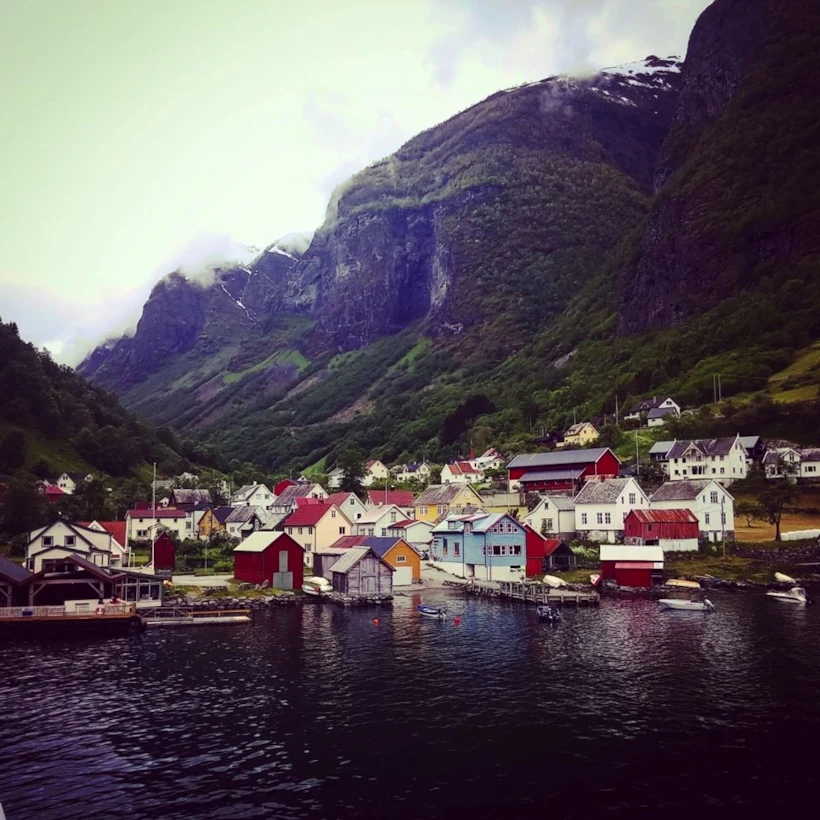 norvec8