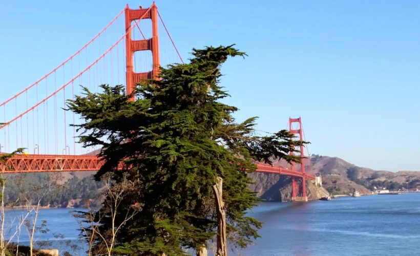 Muhteşem Şehir: San Francisco