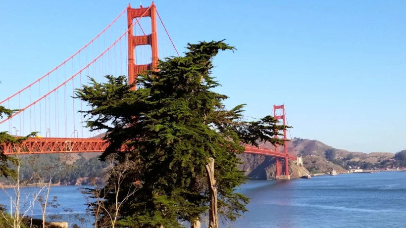 san francisco 1