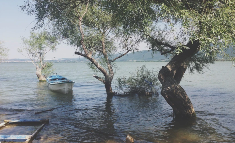 Gölyazı ve Tirilye: Şehre Yakın ve Huzurlu