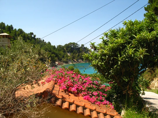 samos yunan adasi