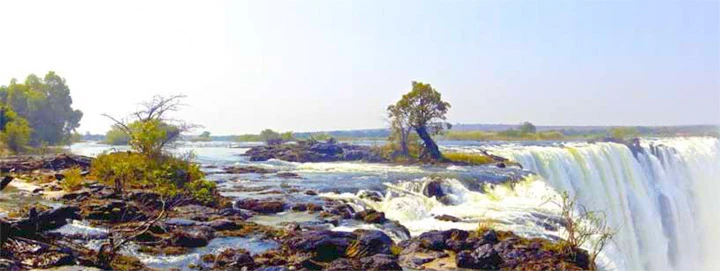 16.sayı_içler1