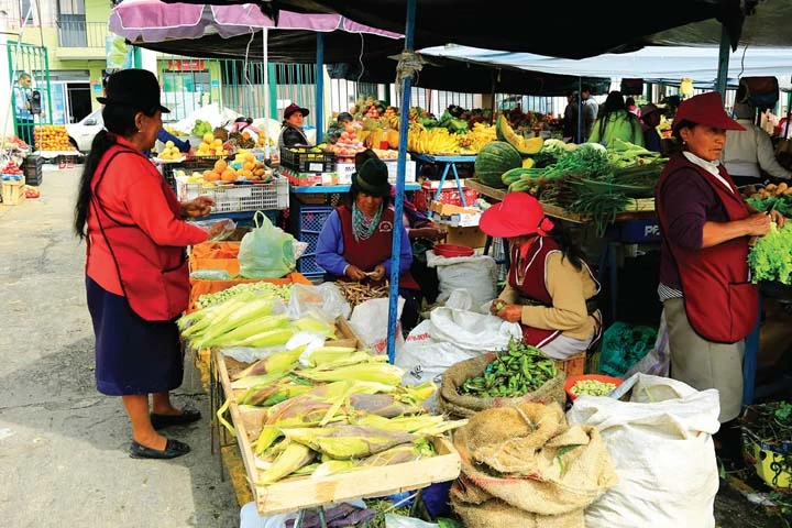 Vegetable_Bazaar_Bogota