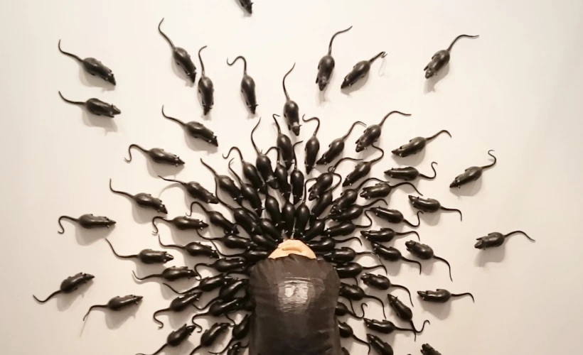 10. Yılında Contemporary Istanbul