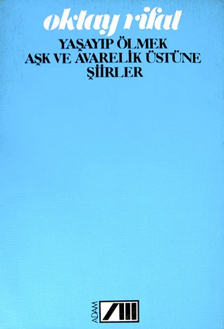 kitap önerileri - şiir kitapları