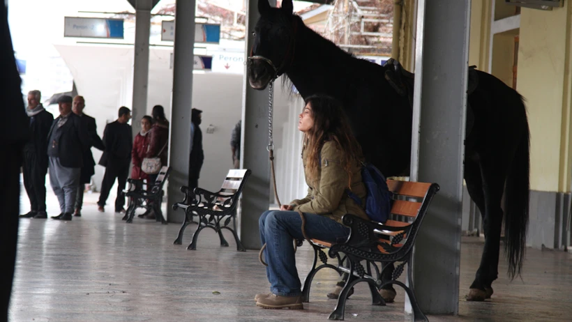 black horse memories