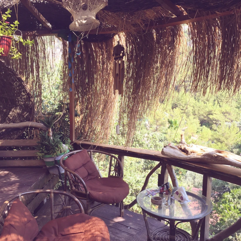 kabak 3