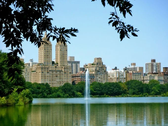 nyc 15