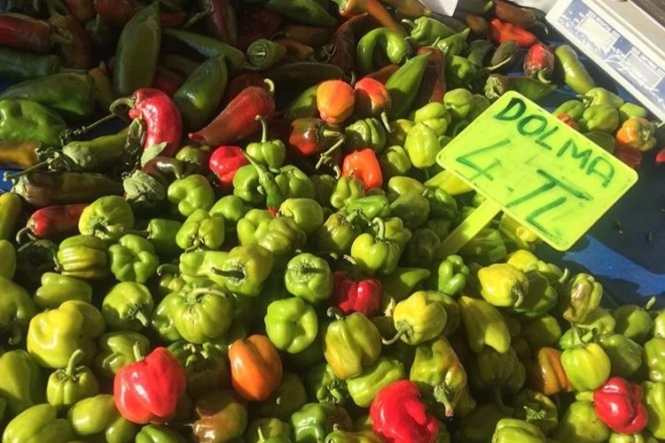 Enginar Cenneti: Seferihisar, Sığacık ve Artemis Restoran