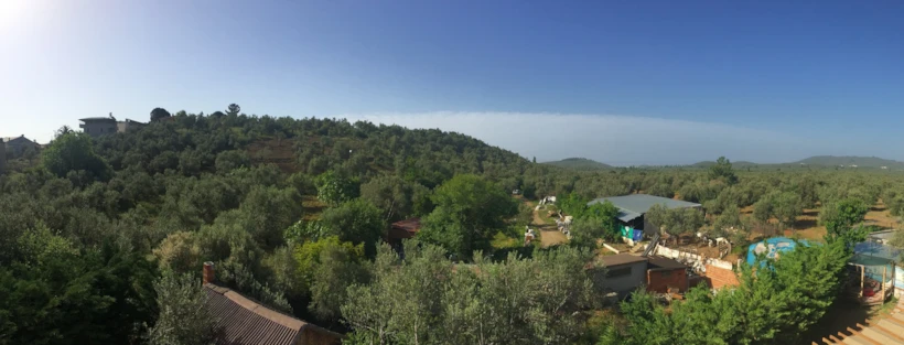 08 Kaz-Daglari-Mount-Ida-1