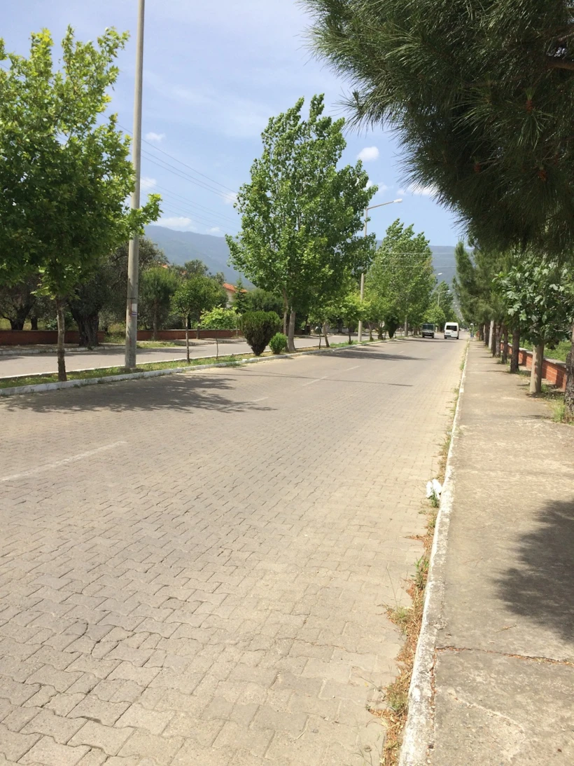 10 Zeytinli-1