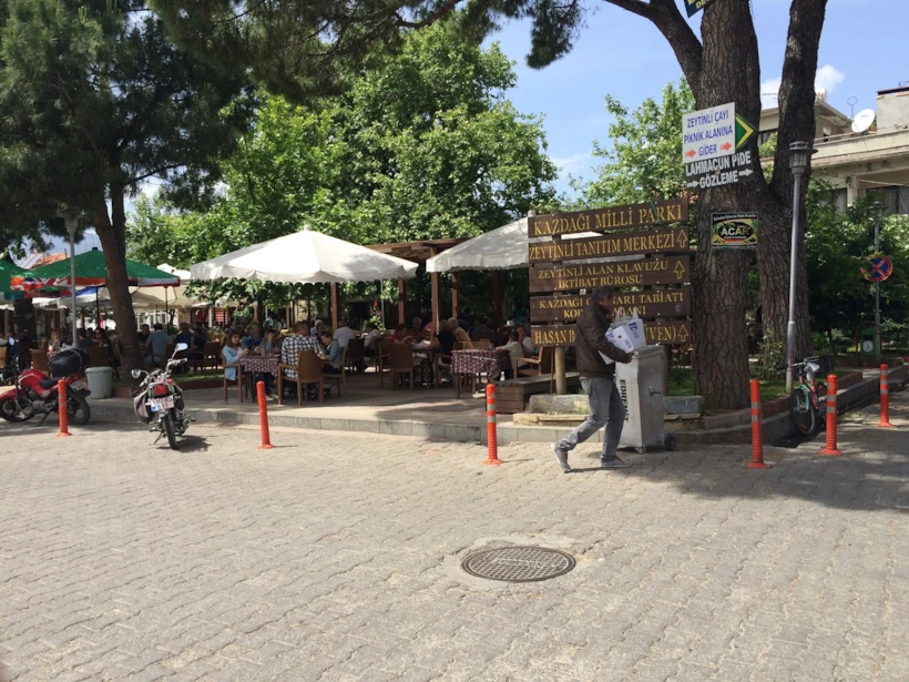 12 Zeytinli-3