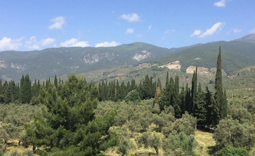 Oksijen Deposu: Kaz Dağları