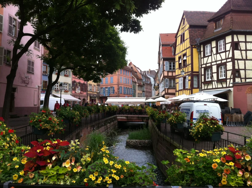colmar 1