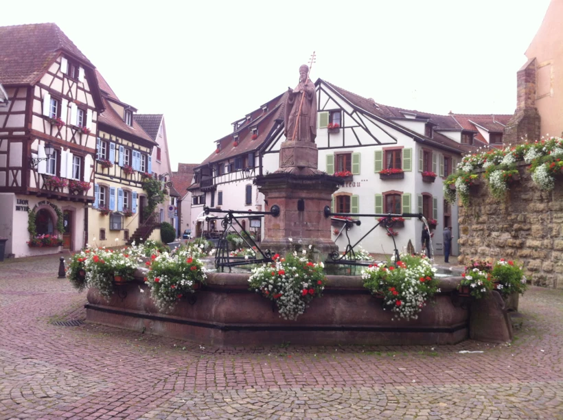 colmar 7