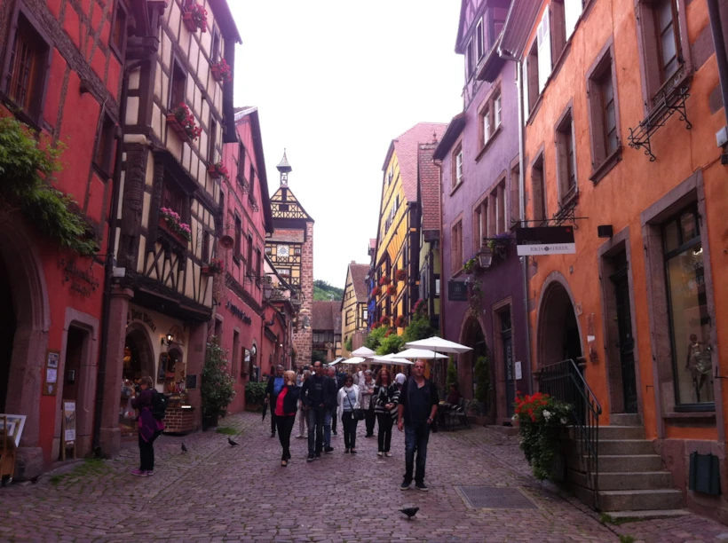 colmar 8