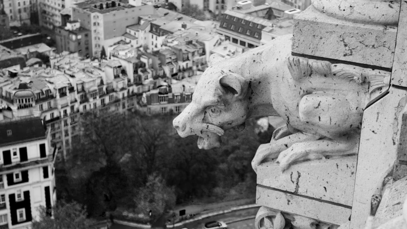 paris 9