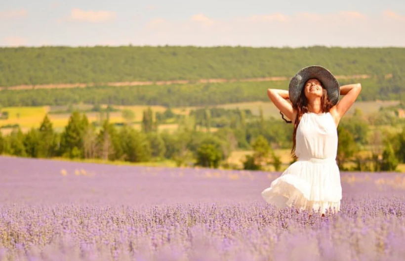 provence