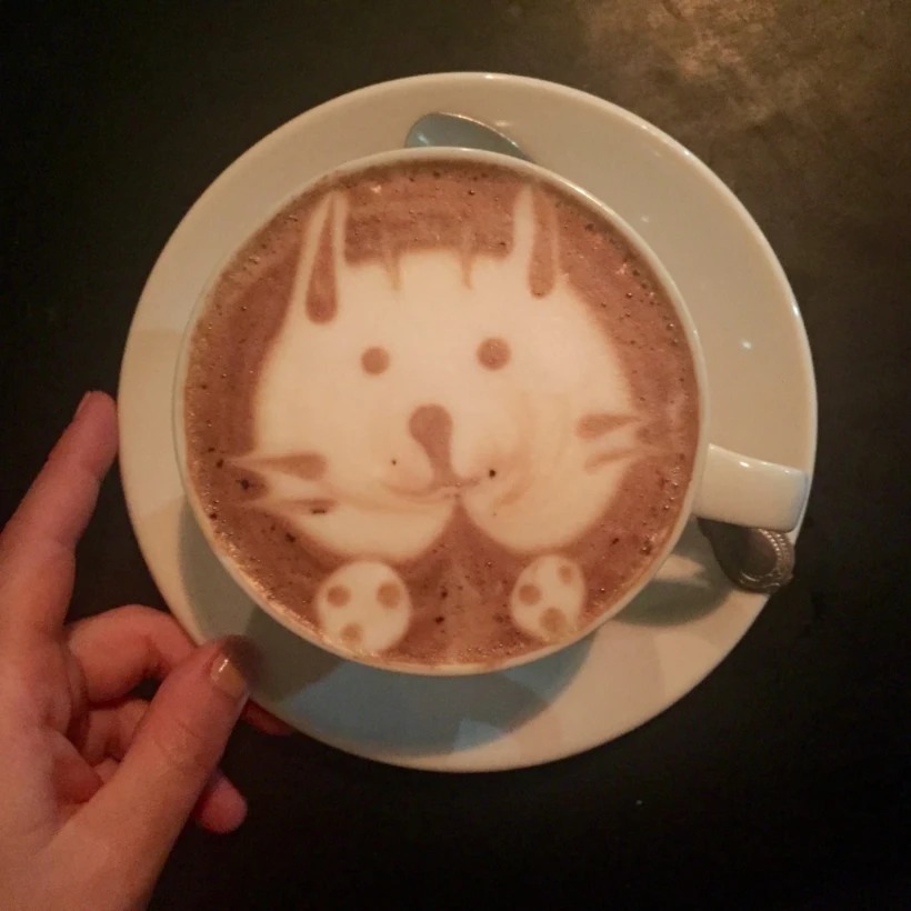 truth coffee 2