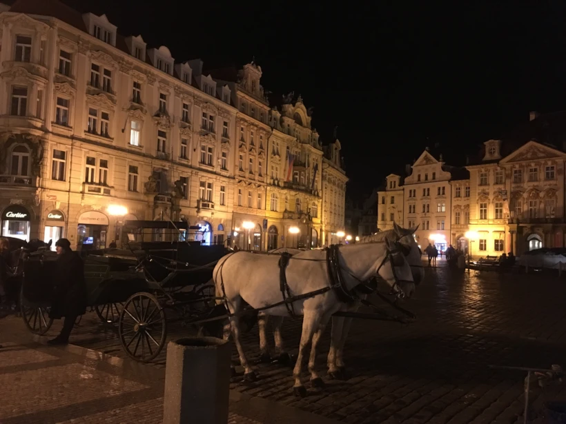 prag 12