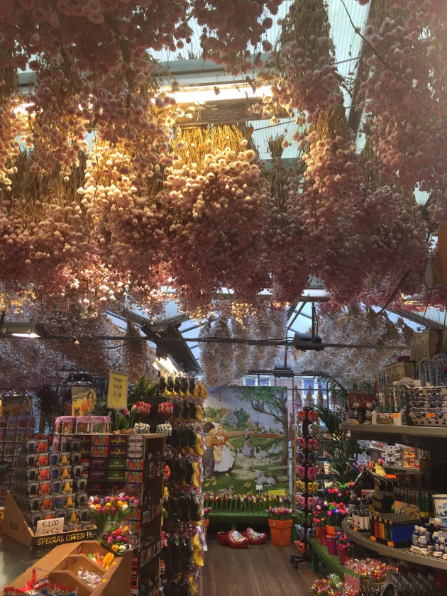 amsterdam 2