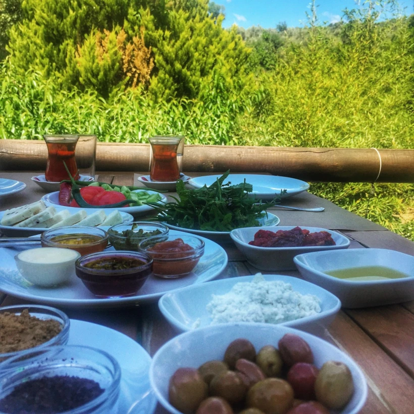 kaz daglari 10