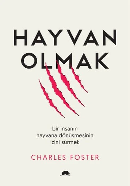 kitap – foster