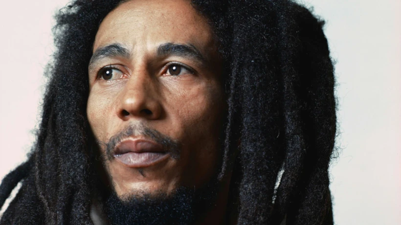 muzik belgeselleri – marley