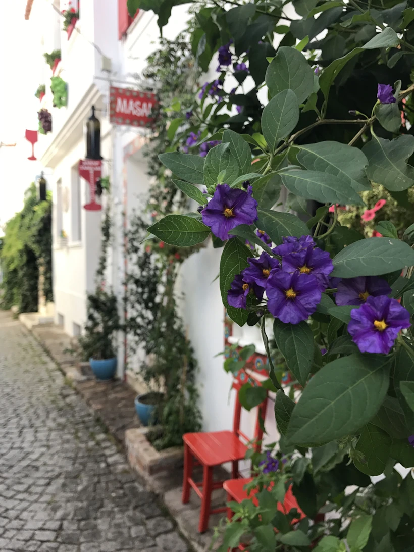 rum mahallesinden
