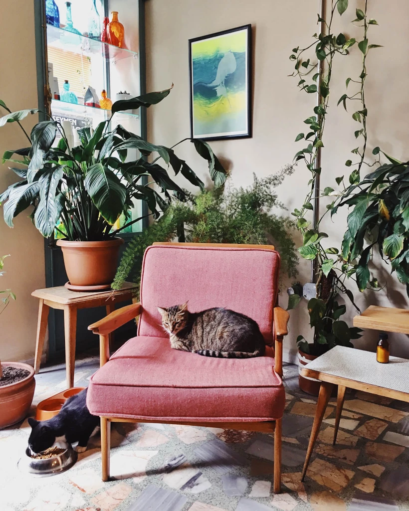 Processed with VSCO with av4 preset