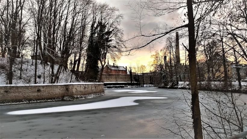 Lech Nehri