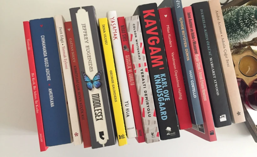 2017 Edebiyat Güncem: Bu Yılın Edebiyat Haberleri ve Favori Kitaplarım