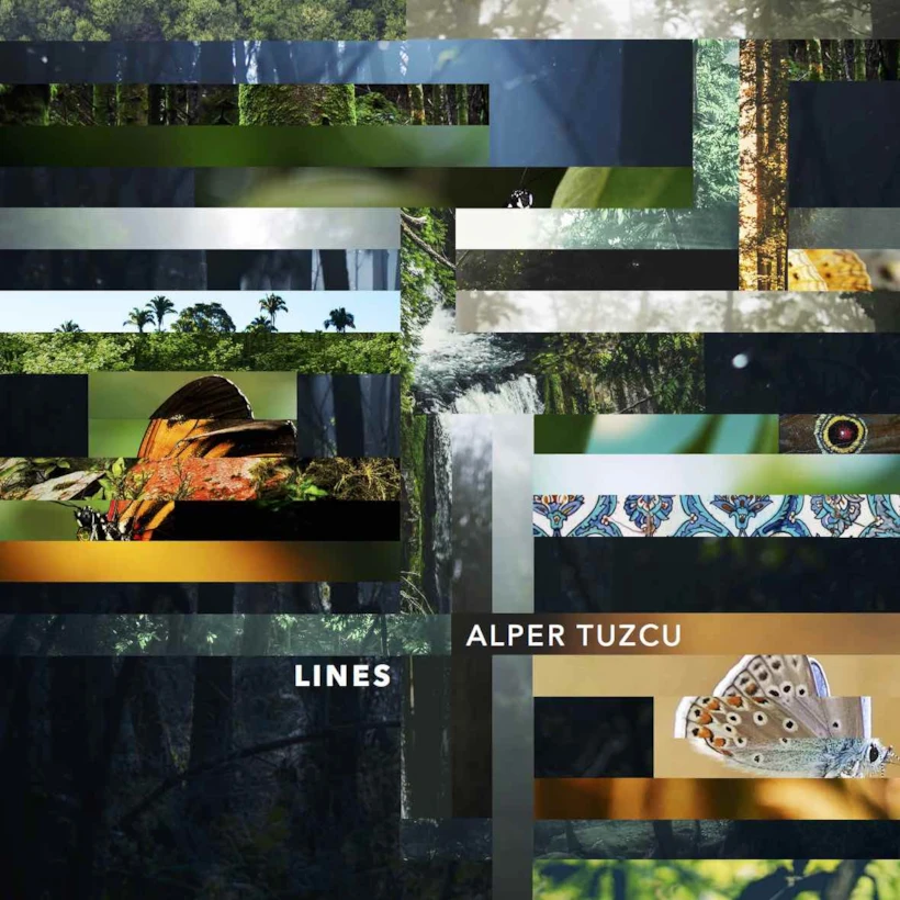 Lines2_collage9 2