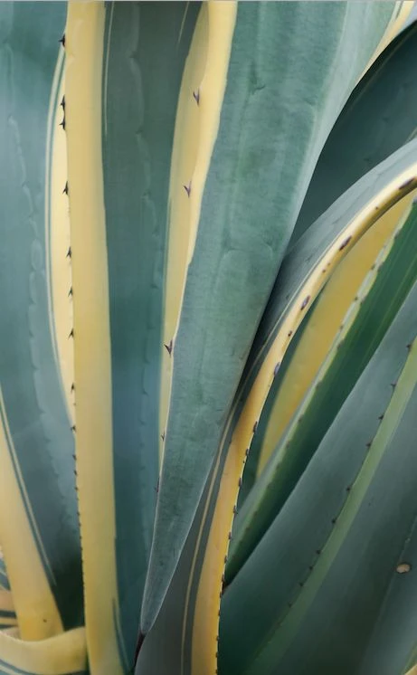 Screen Shot 2018-01-08 at 23.01.46