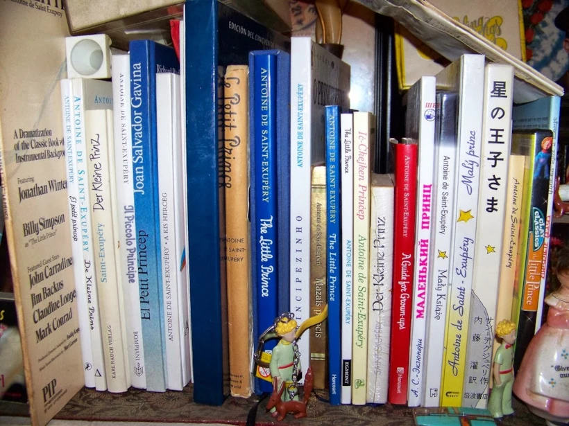 koleksiyon – kitap