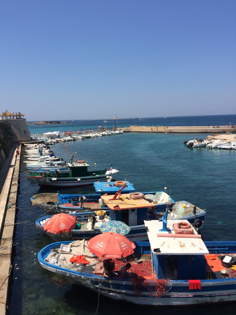 Gallipoli2
