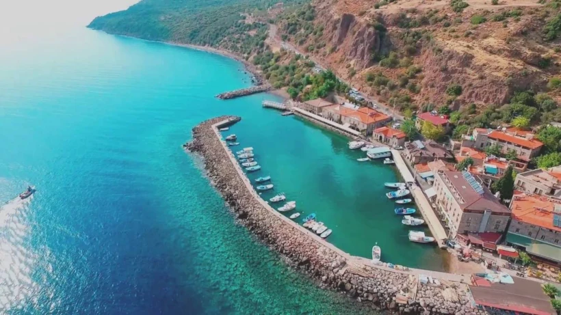 assos