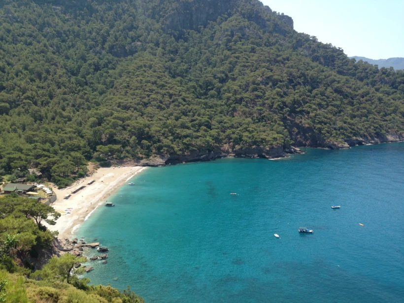 kabak koyu