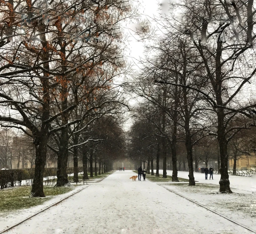 Münih Parkları