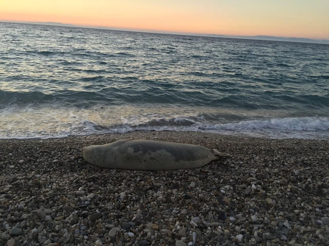 Samos