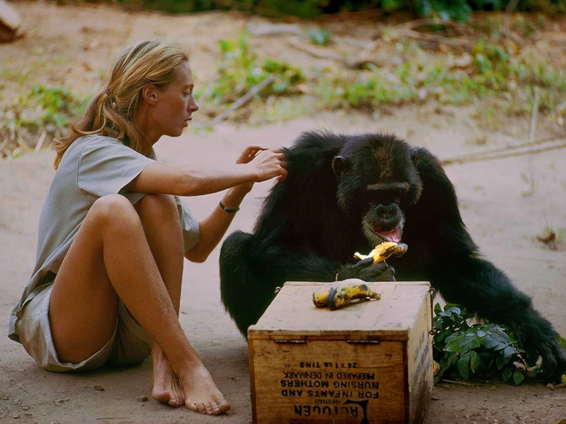 Jane | National Geographic