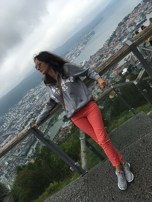 Floyen Tepesinden Manzara 2