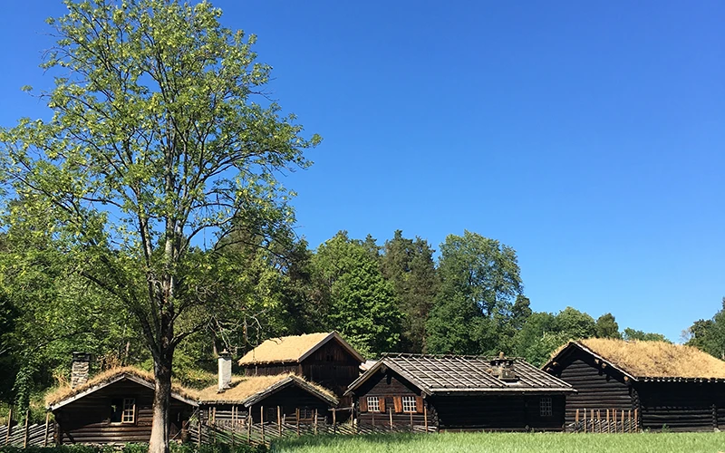 Norveç'in Büyülü Şehirleri: Oslo, Bergen ve Flam