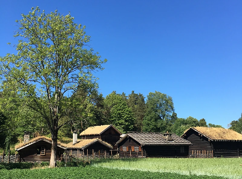 Norway Cultural Museum-Norvec Evleri