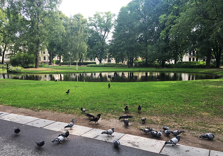 Slottsparken-Yemyeşil parklar