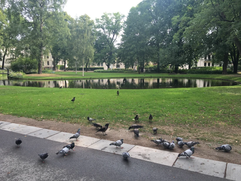 Slottsparken-Yemyeşil parklar